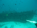 Wrack