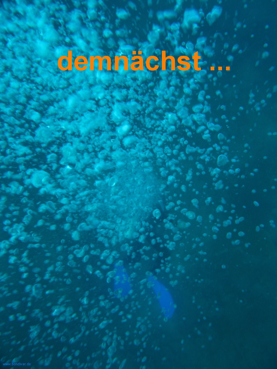 Zurck zur Auswahl!